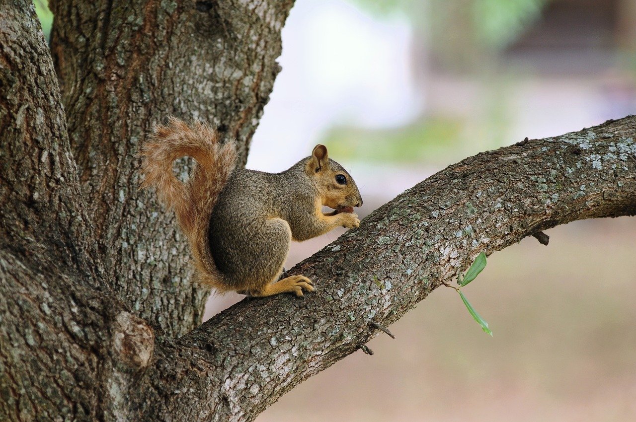 Driving American battery innovation forward