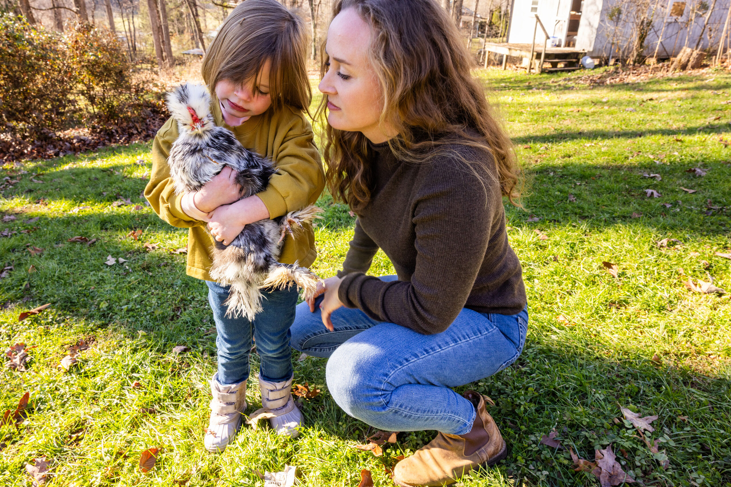 FDA Panelists Questioned Antidepressants in Pregnancy. But Doctors Call Them a Lifeline.