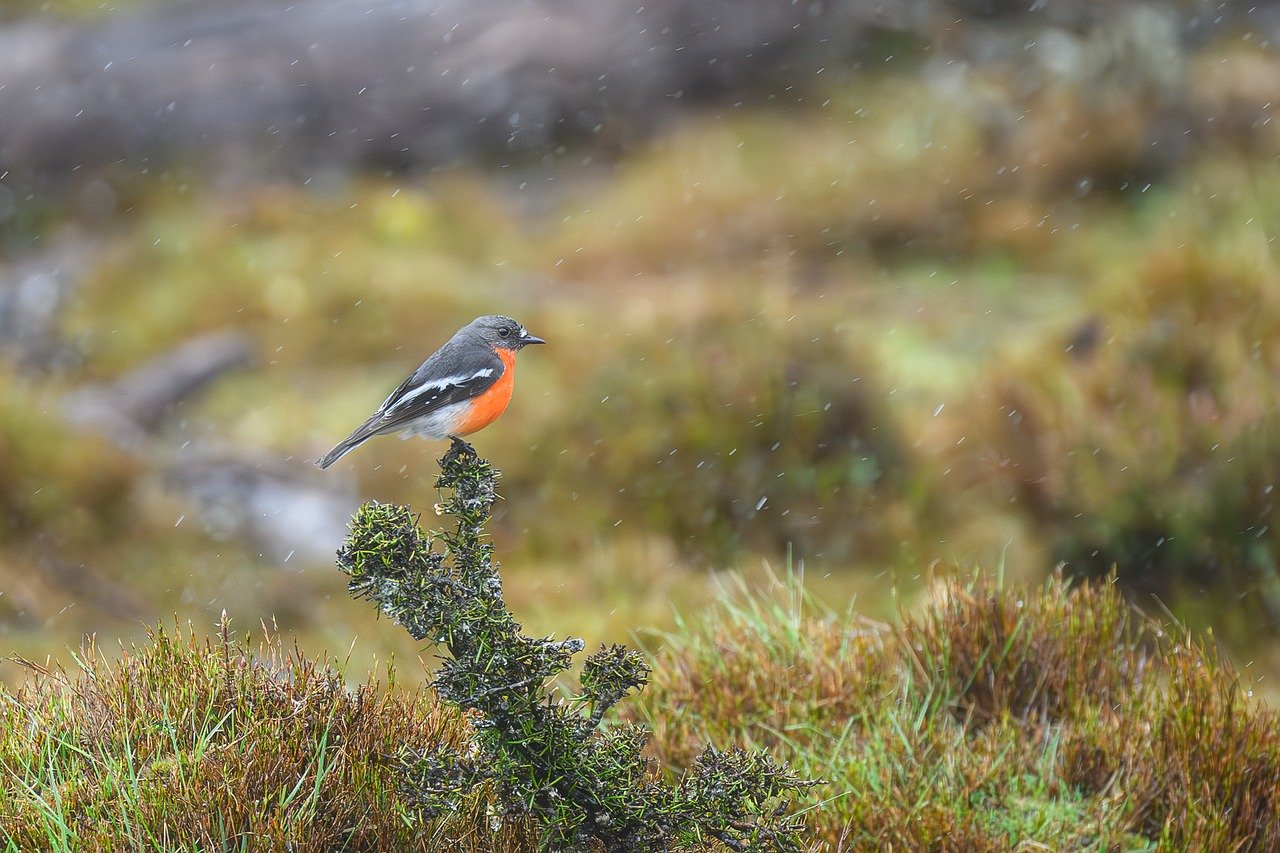 From Findings to Action