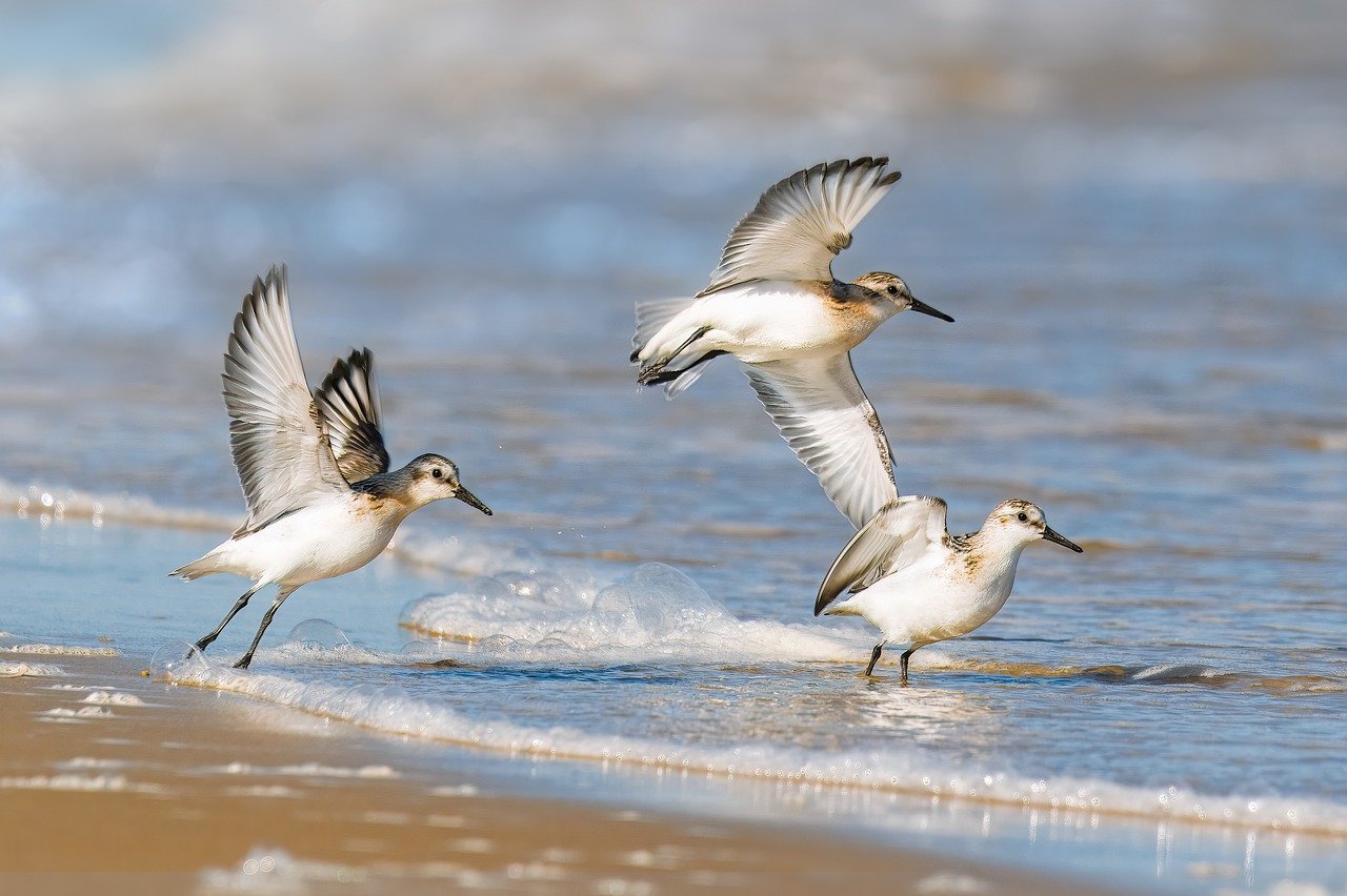 Guided learning lets “untrainable” neural networks realize their potential