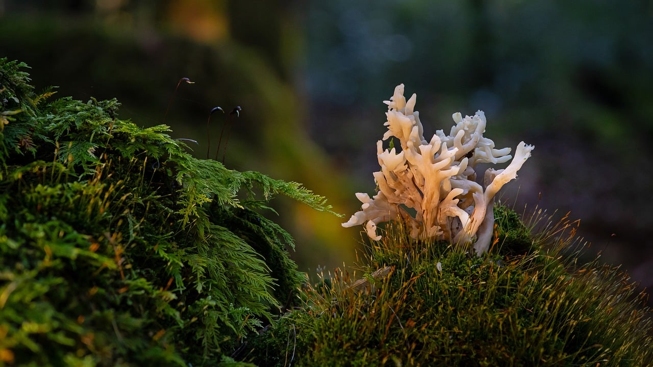 Healthcare Continues to Be Top Target for Threat Actors, Expert Says