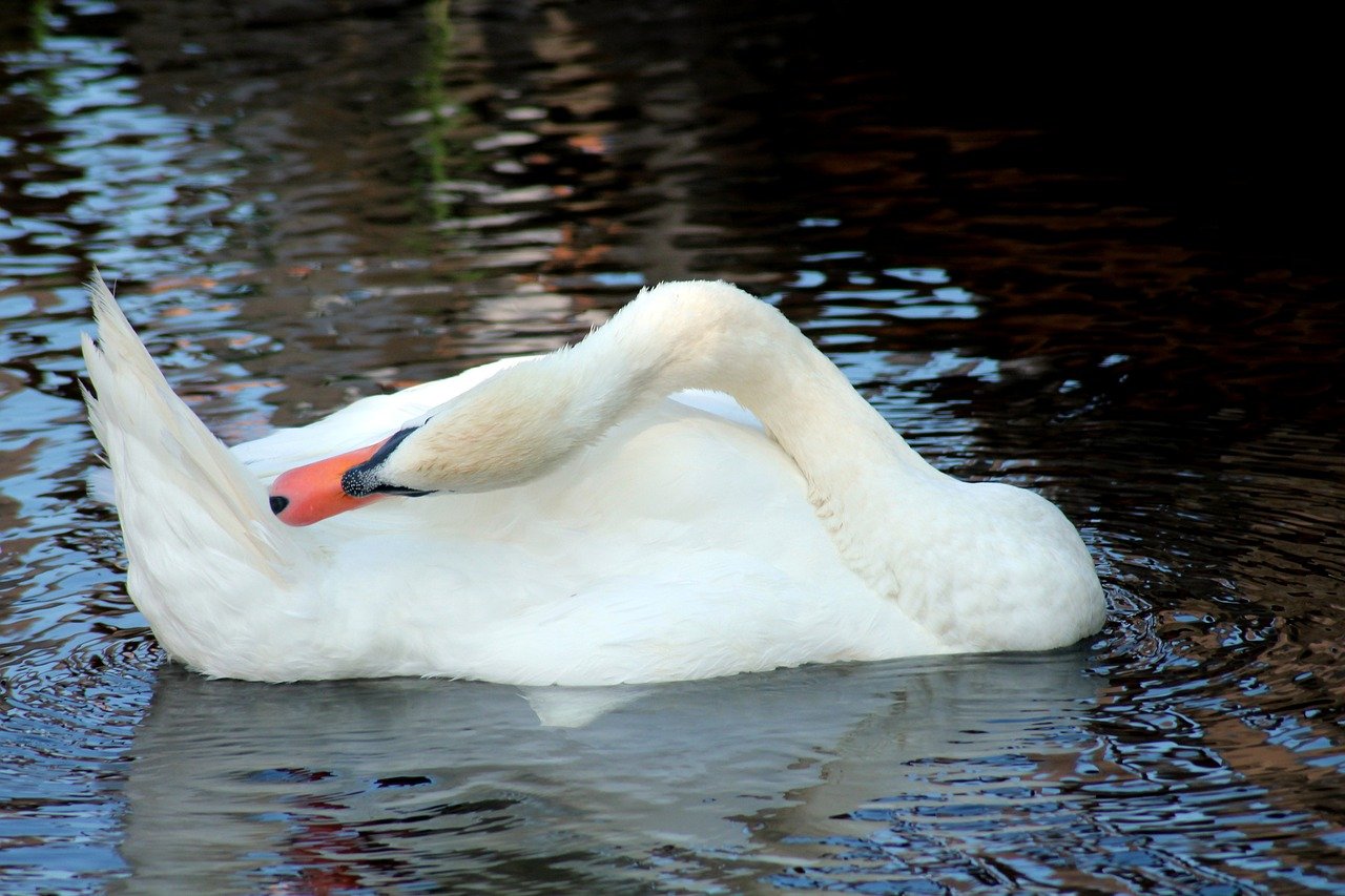 Integrating AI Staff Co-Pilots with Electronic Health Records to Improve Documentation and Facilitate Multilingual Patient Engagement