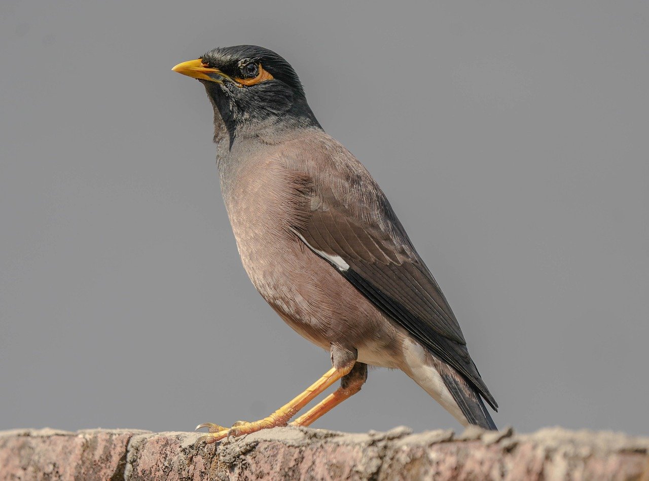 Managing Vendor Relationships and Navigating Data Breaches in the New Age of Data Privacy