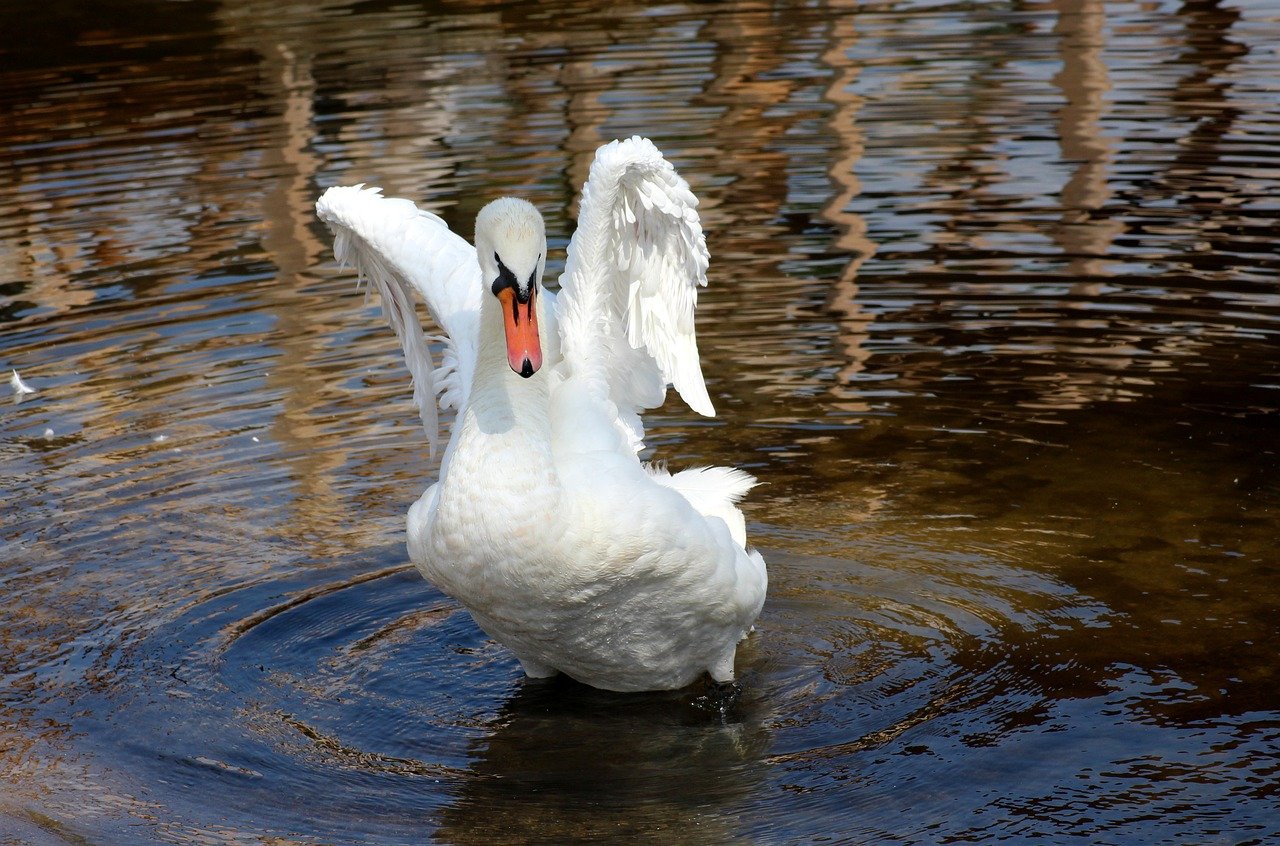 New method improves the reliability of statistical estimations