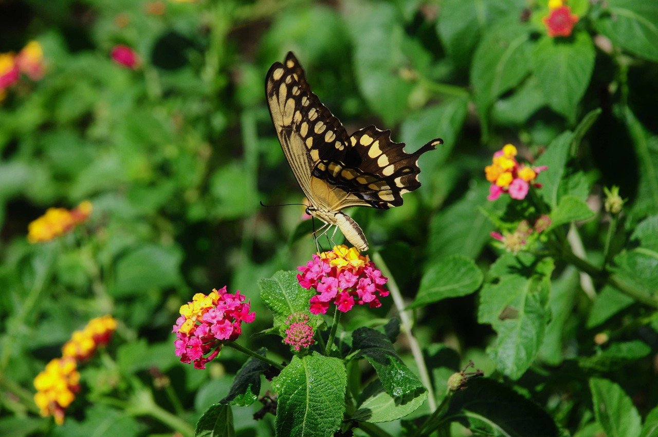 Robots that spare warehouse workers the heavy lifting