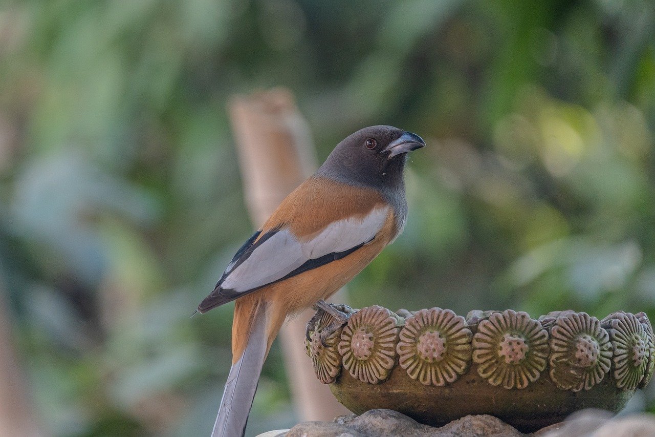 The Importance of Two-Factor Authentication in Protecting Patient Health Information in Healthcare Organizations