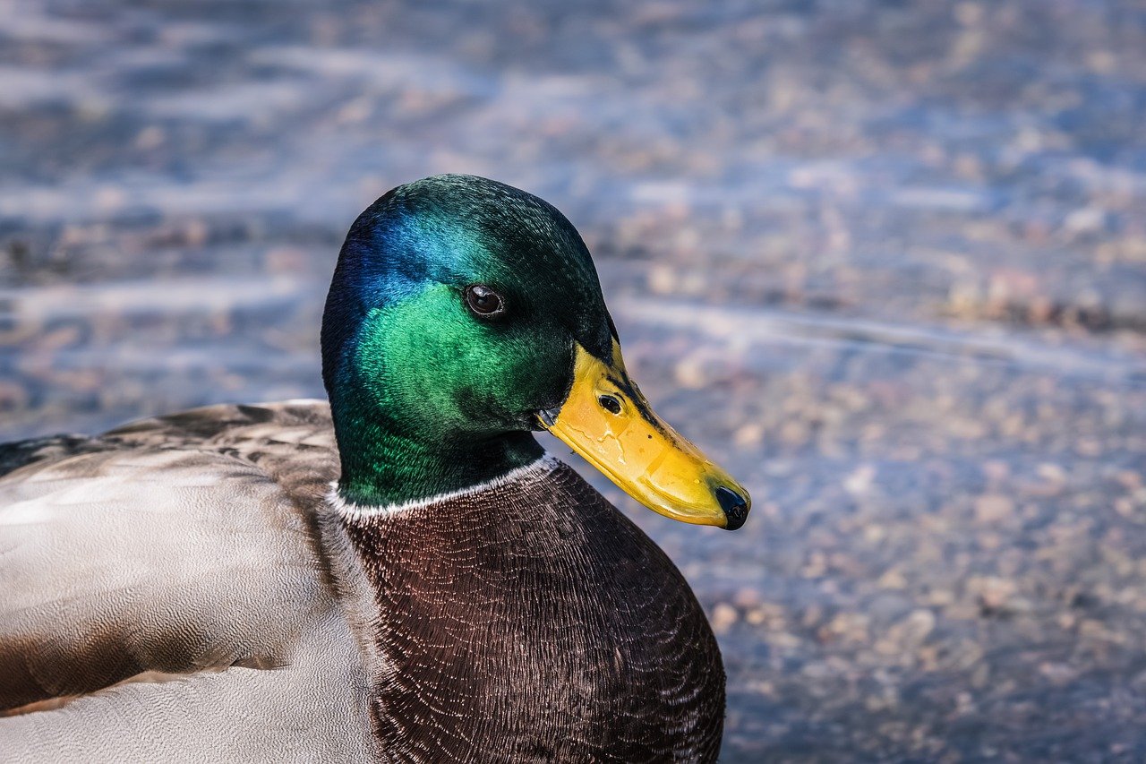 The Top 10 Home Health Care News Stories Of 2025