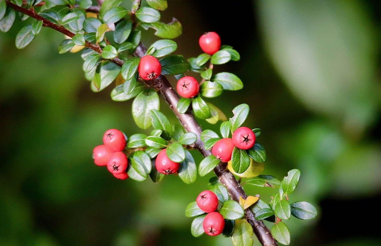 Trump Wants Americans To Make More Babies. Critics Say His Policies Won’t Help Raise Them.