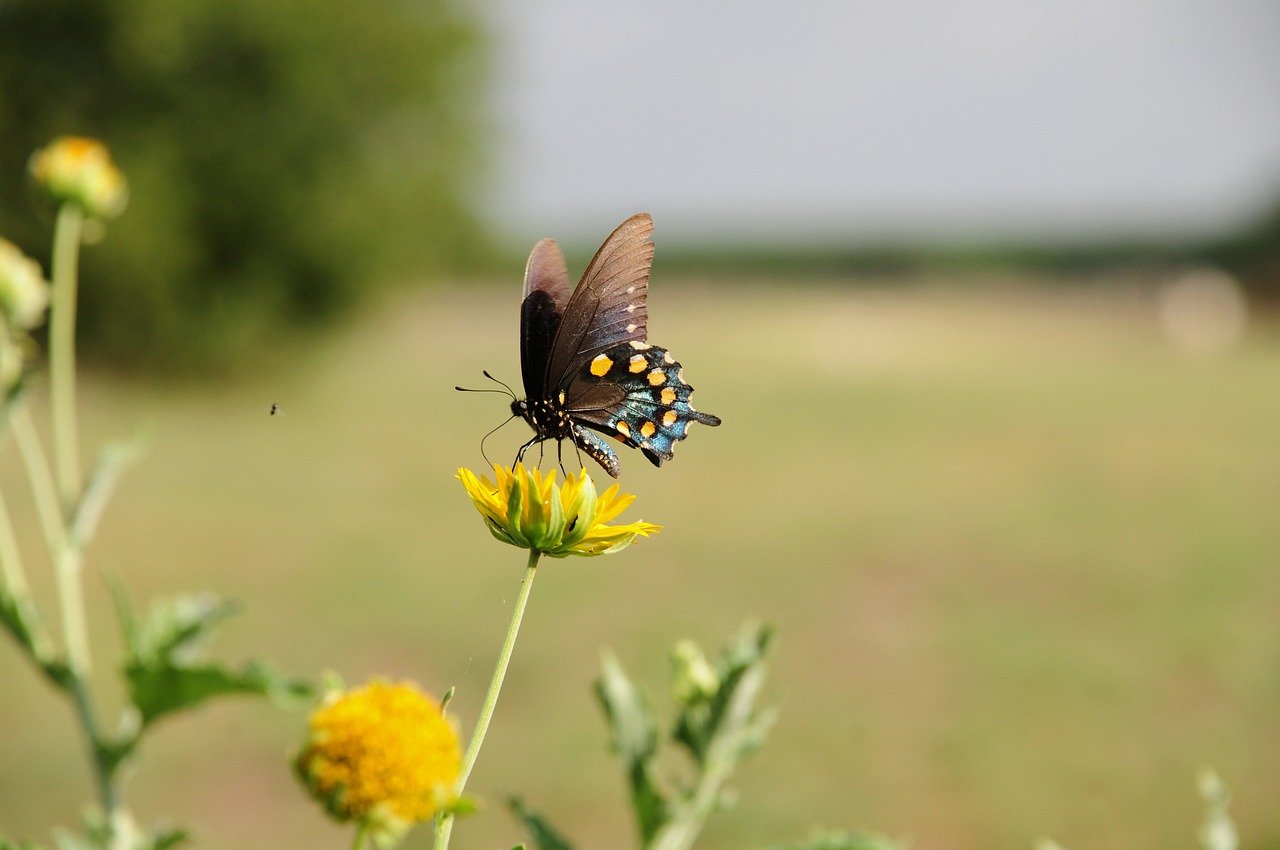 ViVE | Feburary 22-25, 2026 | Los Angeles, CA