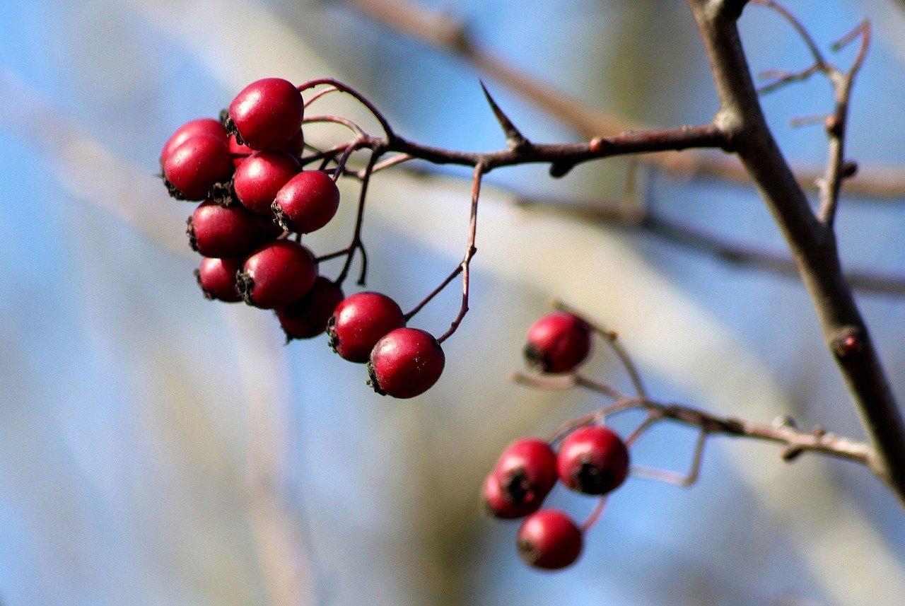 Voices: John Atkinson, CTO/COO, AxisCare