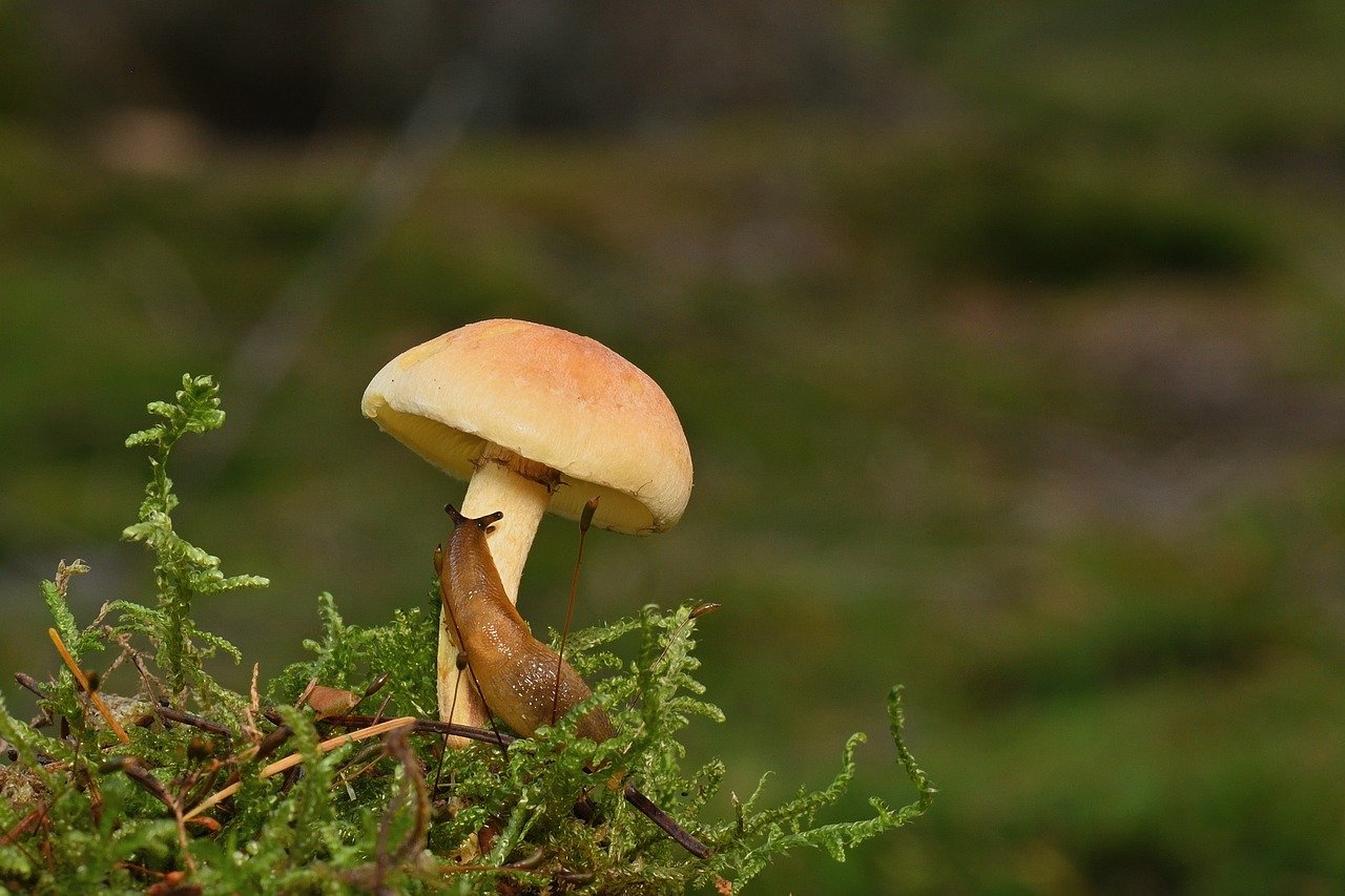 3 Questions: How AI could optimize the power grid