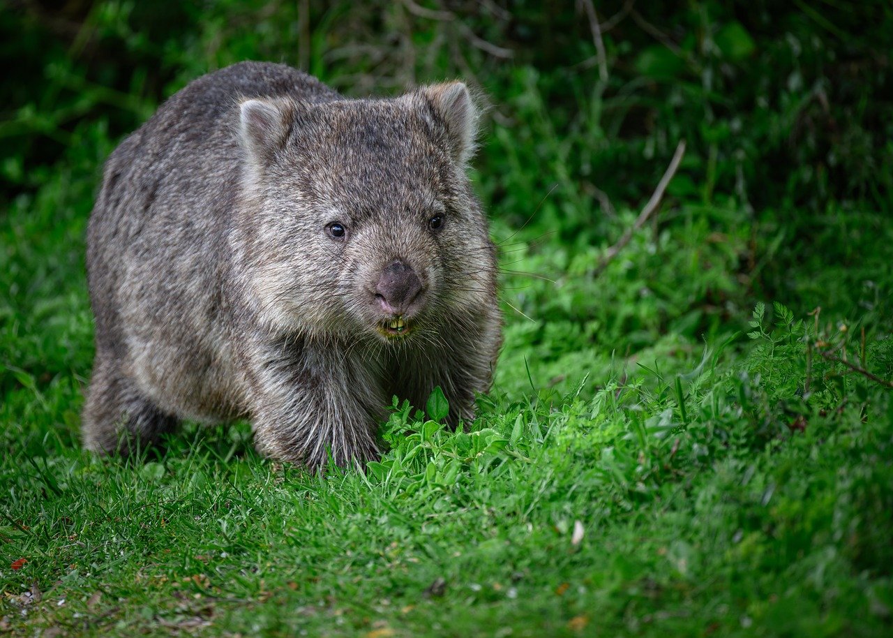 Conduent Hack Victim Count Soars by at Least 50%