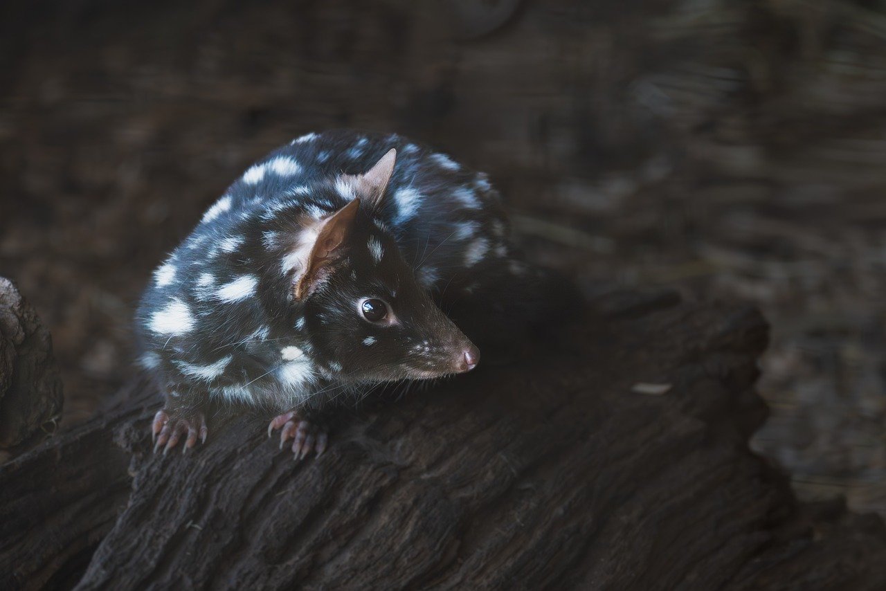 Journalists Update Listeners on Expiration of Insurance Subsidies and New Rural Health Funding