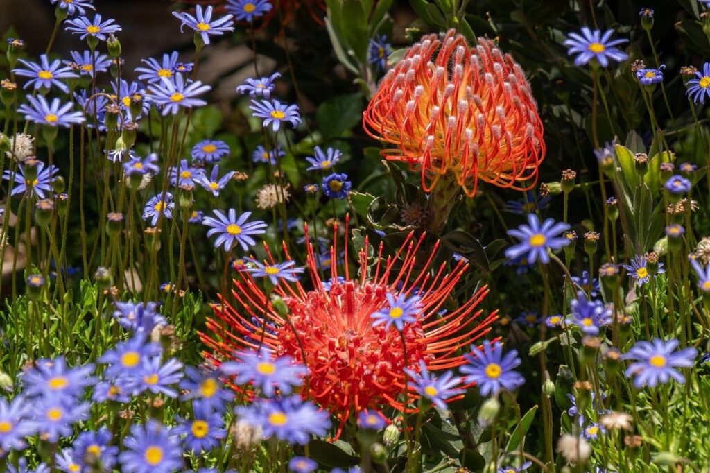 Monitoring Patient Volume and Referral Sources: Identifying Growth Opportunities in Ophthalmology Practices