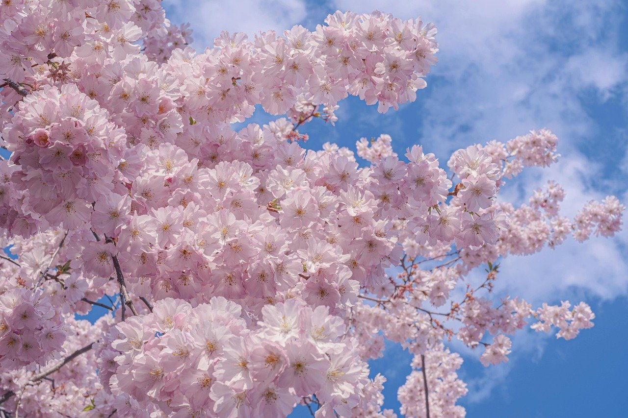 Seis tips para obtener fármacos que previenen el VIH superando obstáculos del sistema de salud