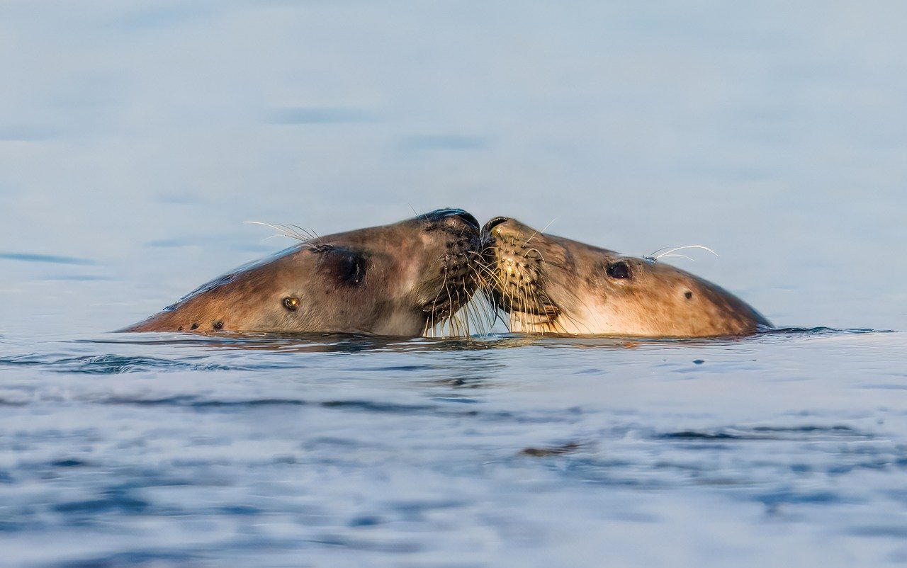 Task-Based Home Care Billing Overcomes Staffing, Pricing Hurdles