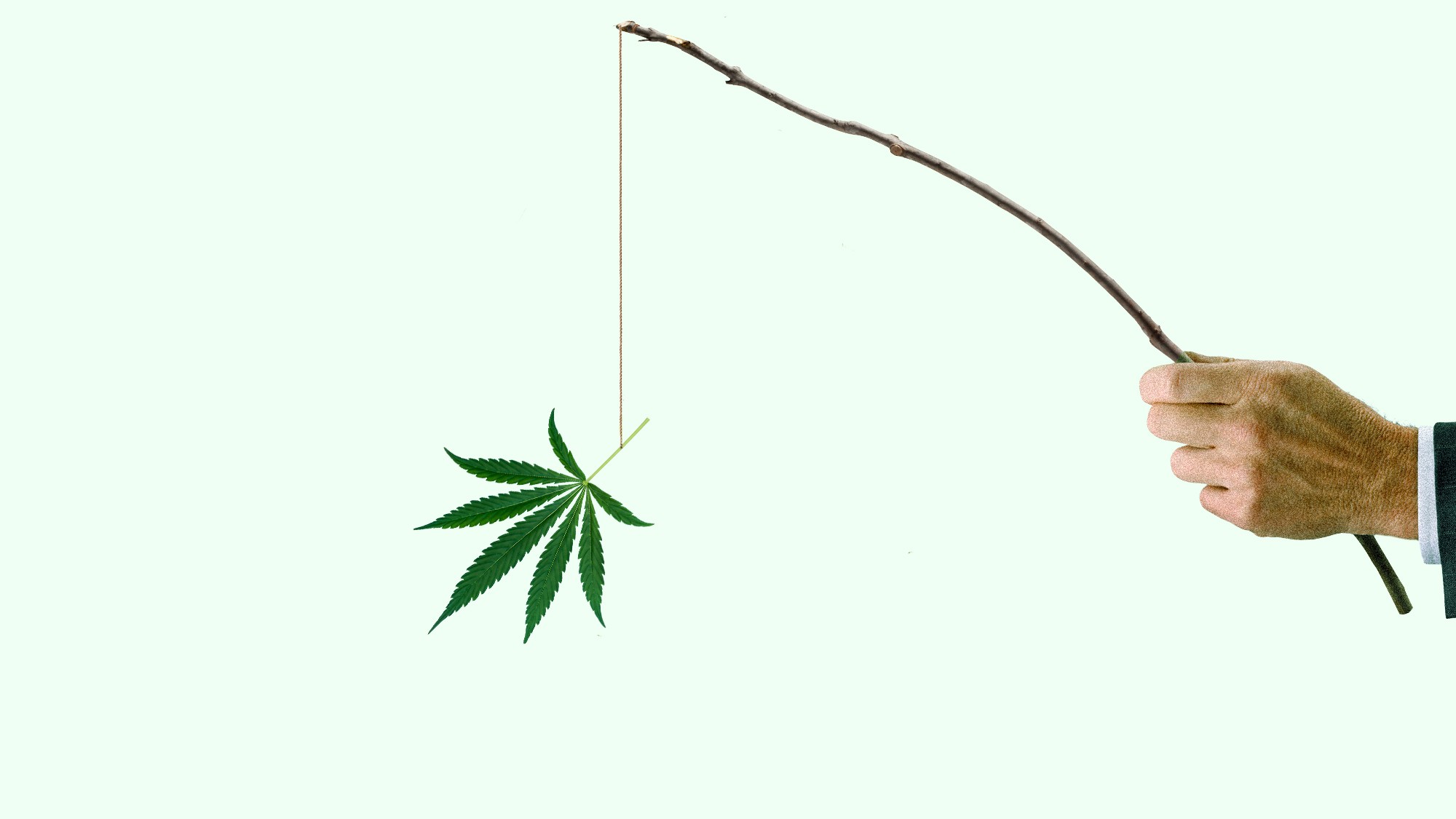 The Risk of Trump’s Marijuana Order