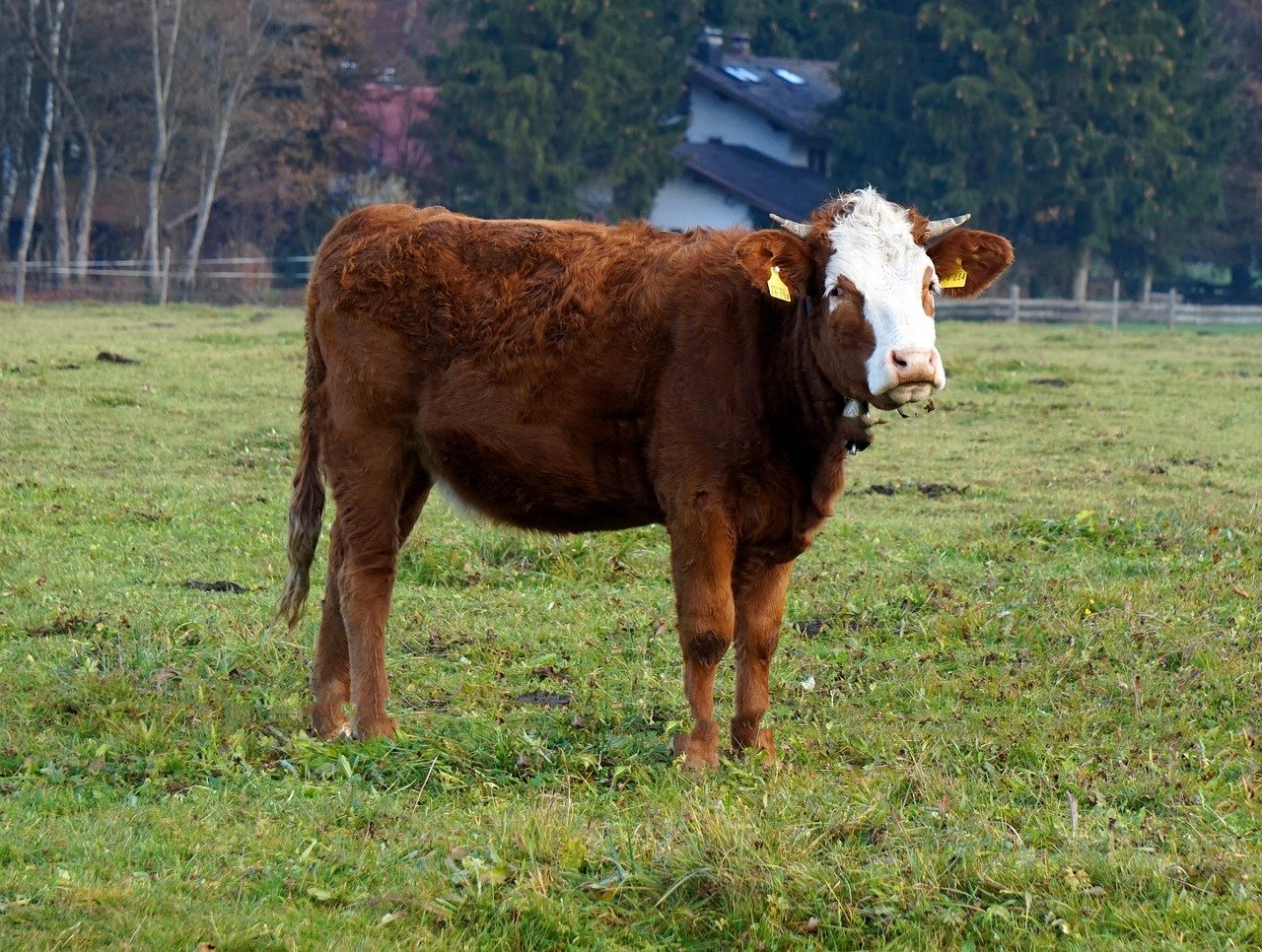 Using design to interpret the past and envision the future