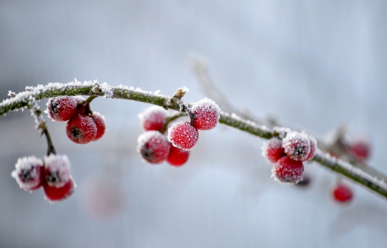 Utilizing AI Analytics to Drive Operational Efficiency in Clinics by Analyzing Patient Call Volumes, Appointment Trends, and Staffing Needs