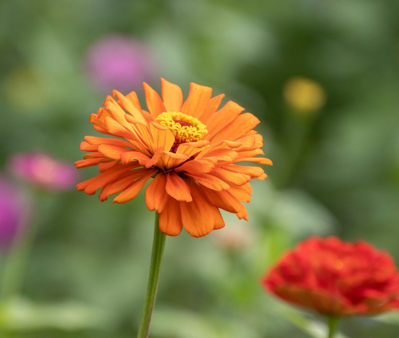 Vaccines Are Helping Older People More Than We Knew