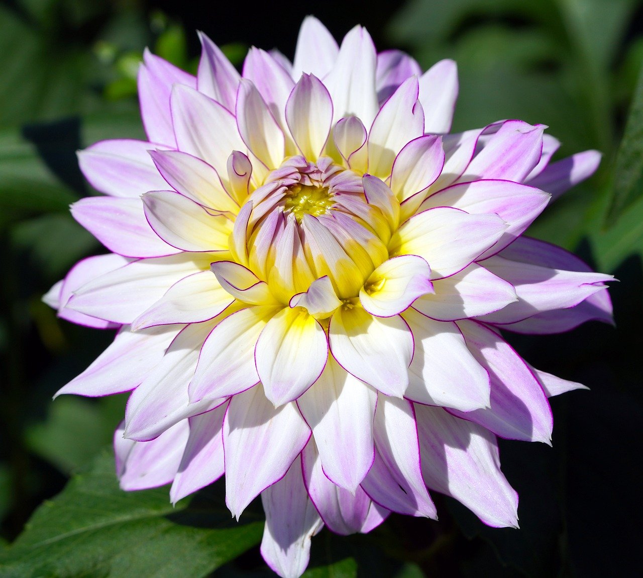 Exposing biases, moods, personalities, and abstract concepts hidden in large language models