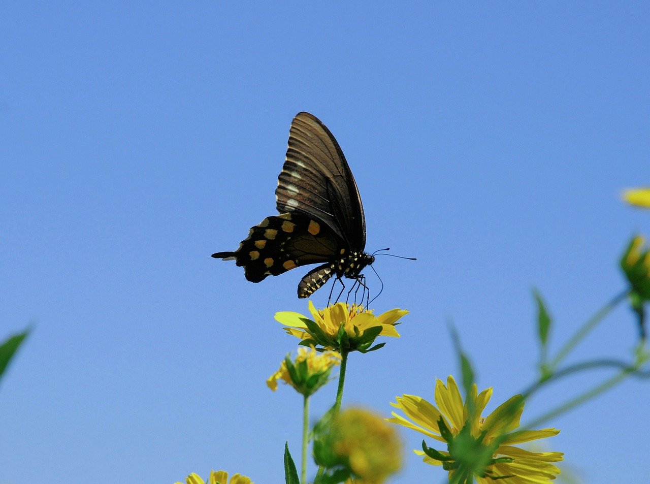 Journalists Explain Colorectal Cancer Risk and Federal Pullback on Georgia Disability Oversight