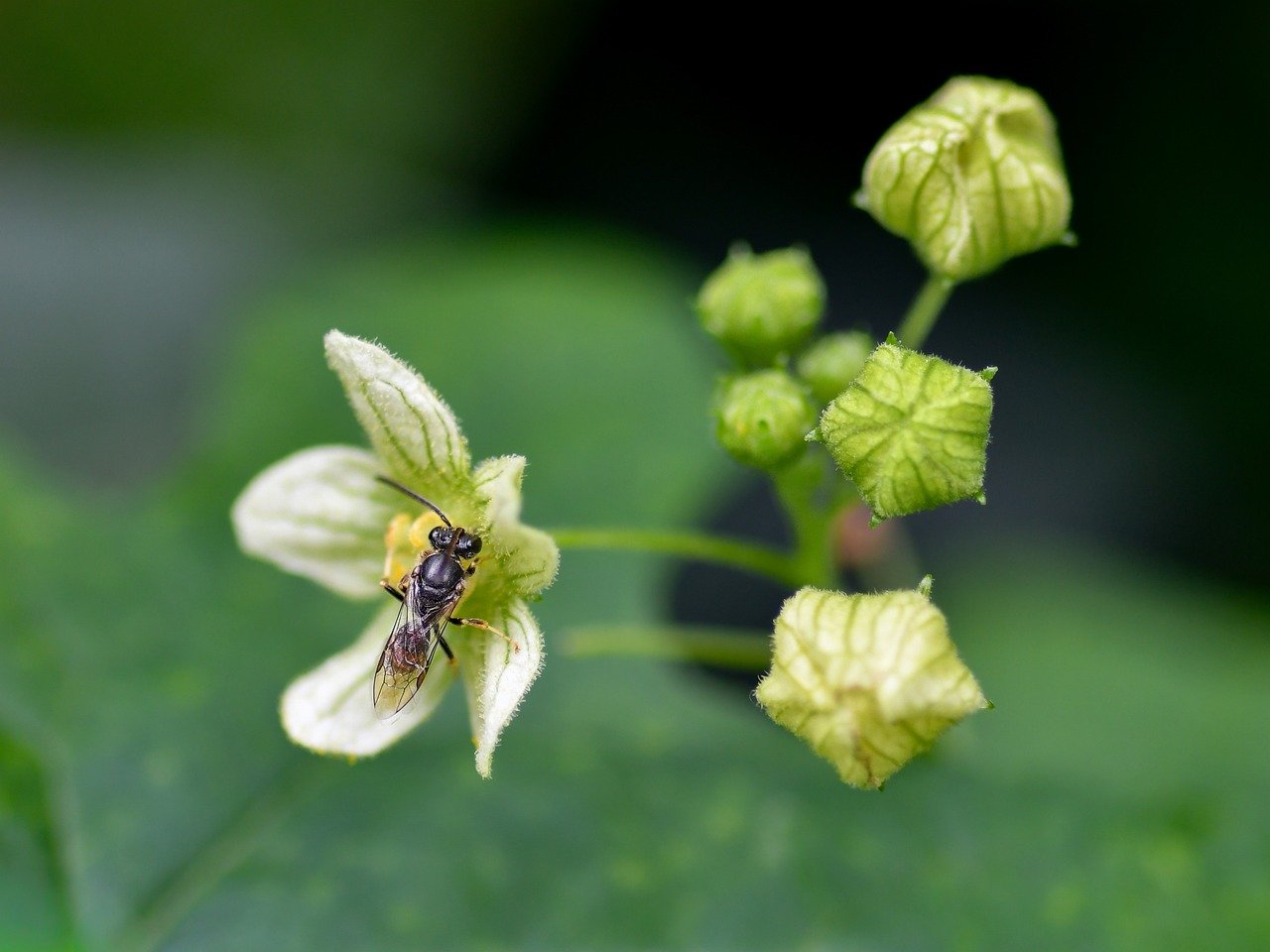 State Lawmakers Seek Restraints on Wage Garnishment for Medical Debt