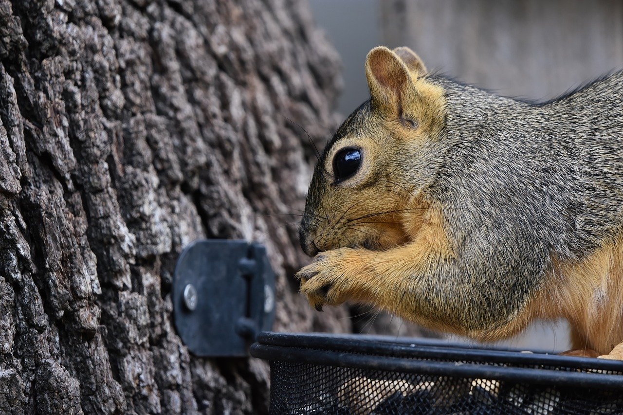 Study: Platforms that rank the latest LLMs can be unreliable