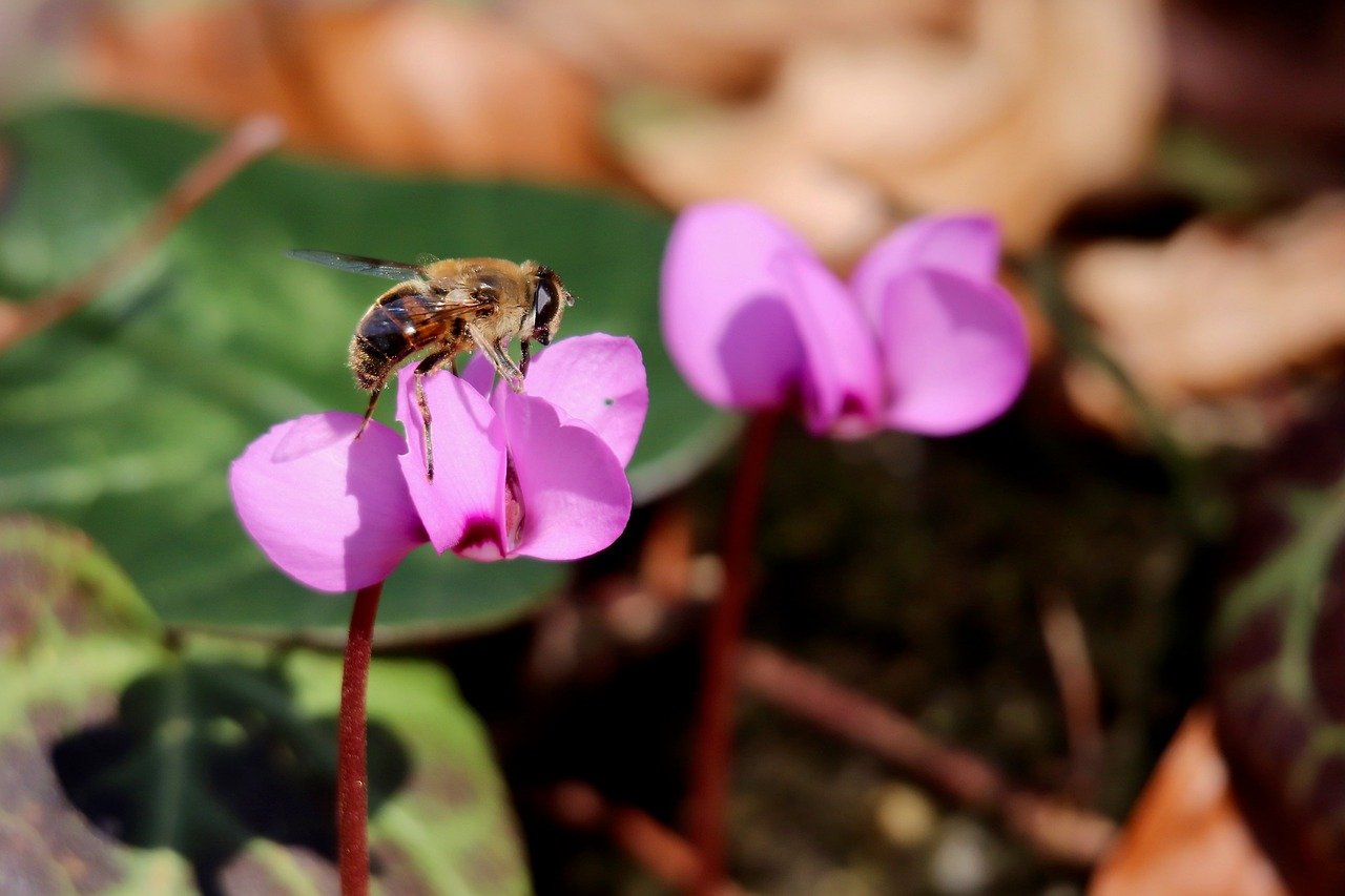 What the Health? From KFF Health News: What About the State of Health?