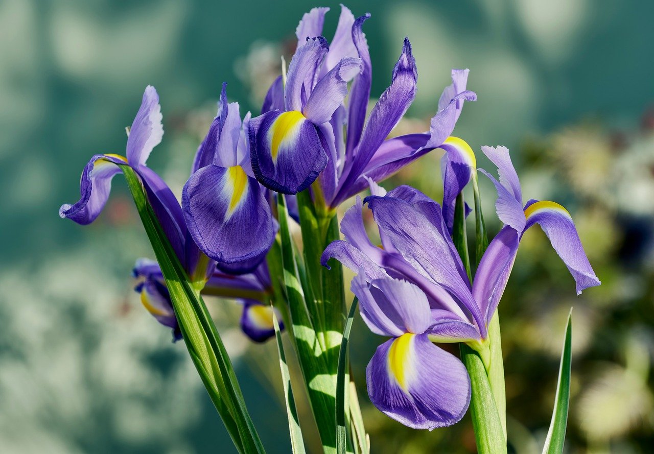 You Don’t Need Your EMR: Inside the Next Phase of Home-Based Care