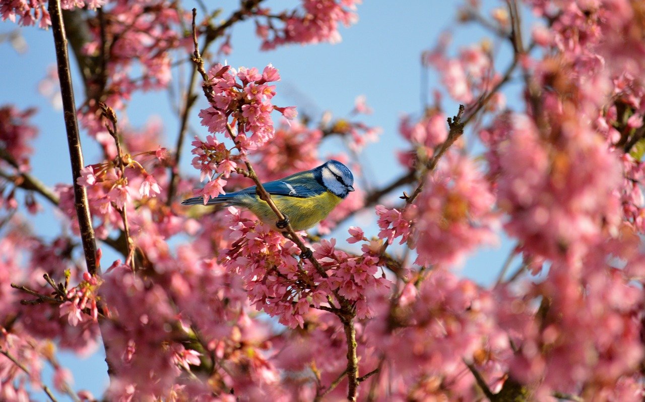 Advancing international trade research and finding community