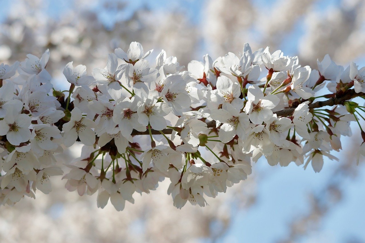 How the Trump Administration Uses Migrant Kids To Find and Detain Family Members