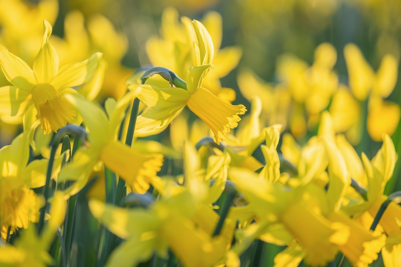 Improving AI models’ ability to explain their predictions