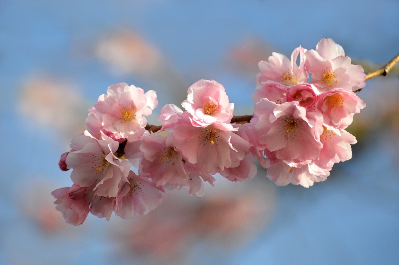 MIT-IBM Watson AI Lab seed to signal: Amplifying early-career faculty impact