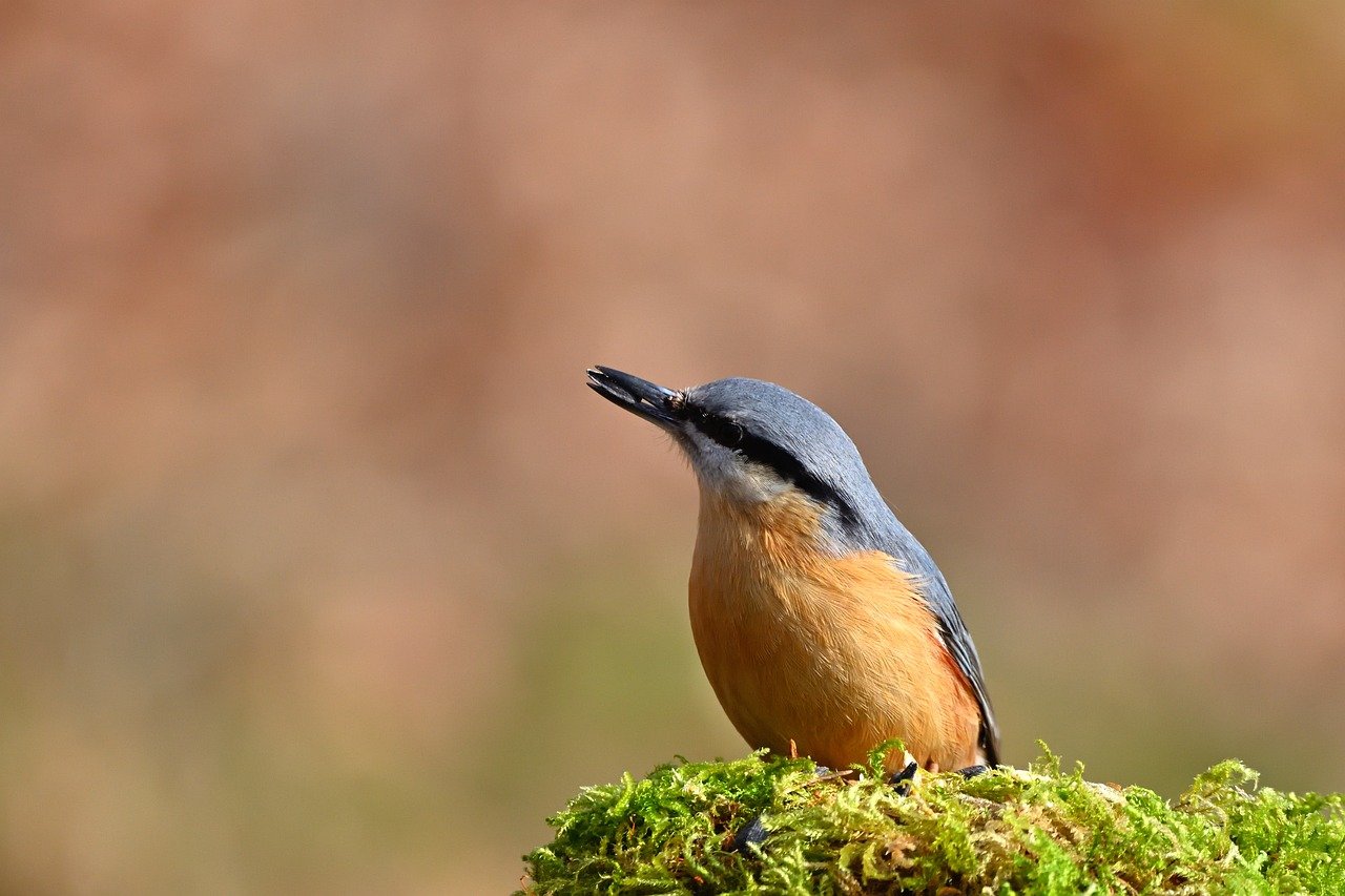 SQA Regulatory Surveillance Summary | 3Q/4Q 2025