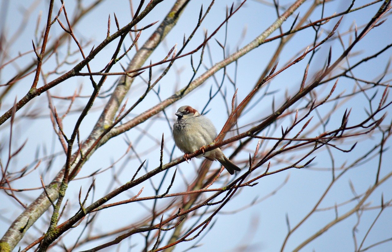 CMS Fraud-Focused CRUSH Effort Draws Input From Home-Based Care Industry 