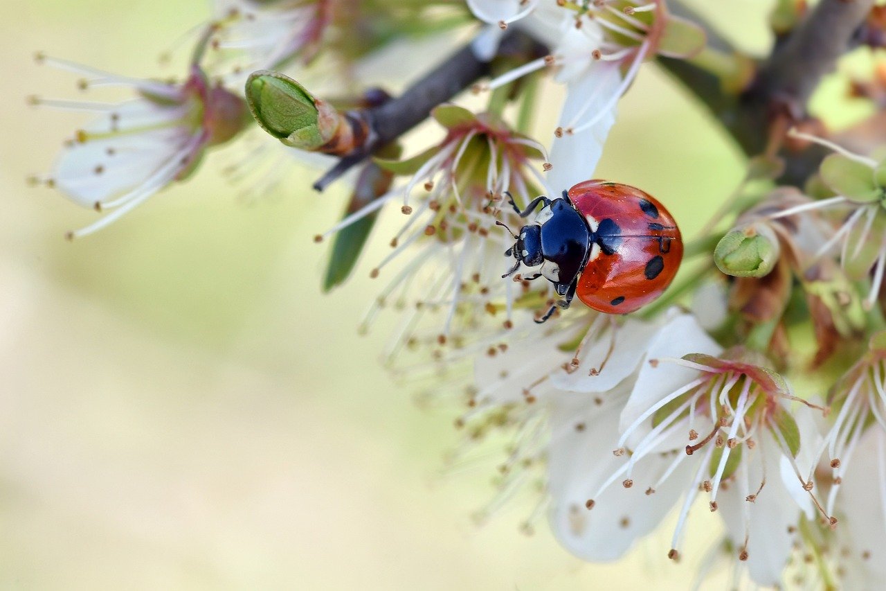 Measuring Audit Results