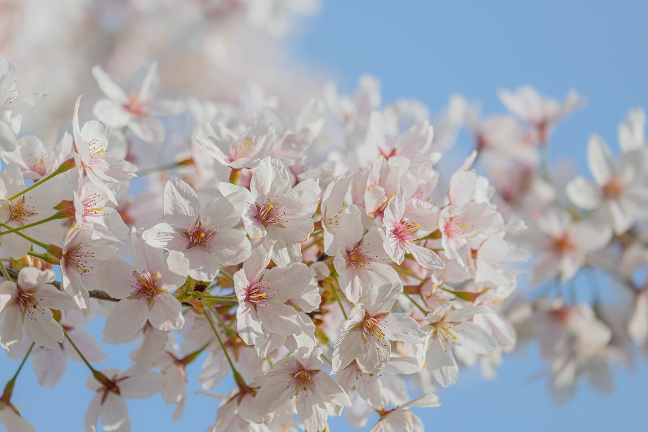 On algorithms, life, and learning