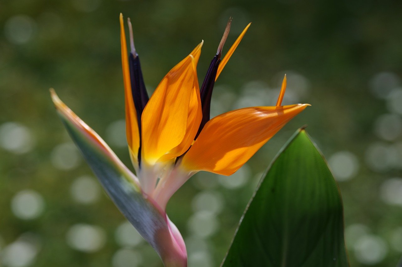 Preview tool helps makers visualize 3D-printed objects