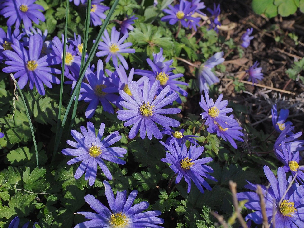 Sixteen new START.nano companies are developing hard-tech solutions with the support of MIT.nano