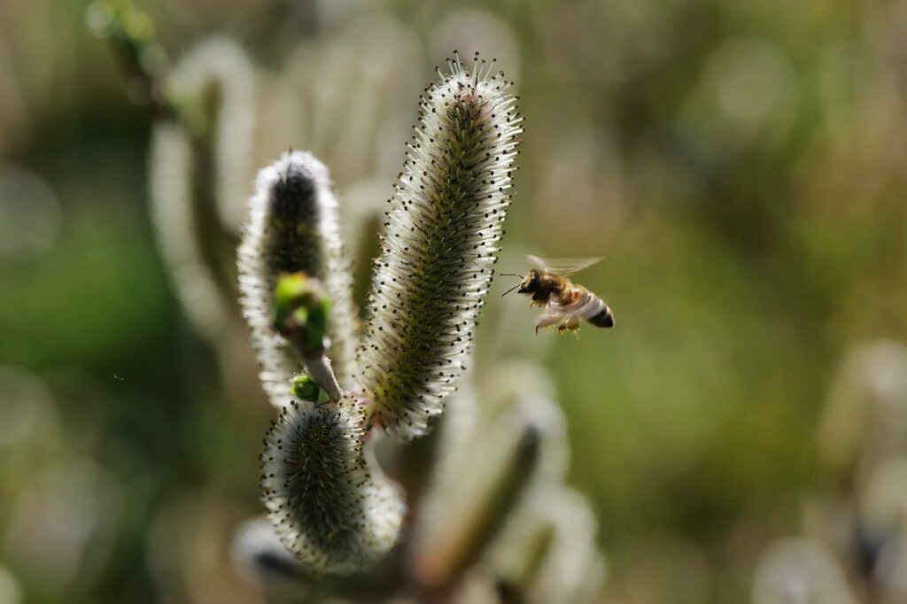 The Hidden Risk in Multi Site Healthcare