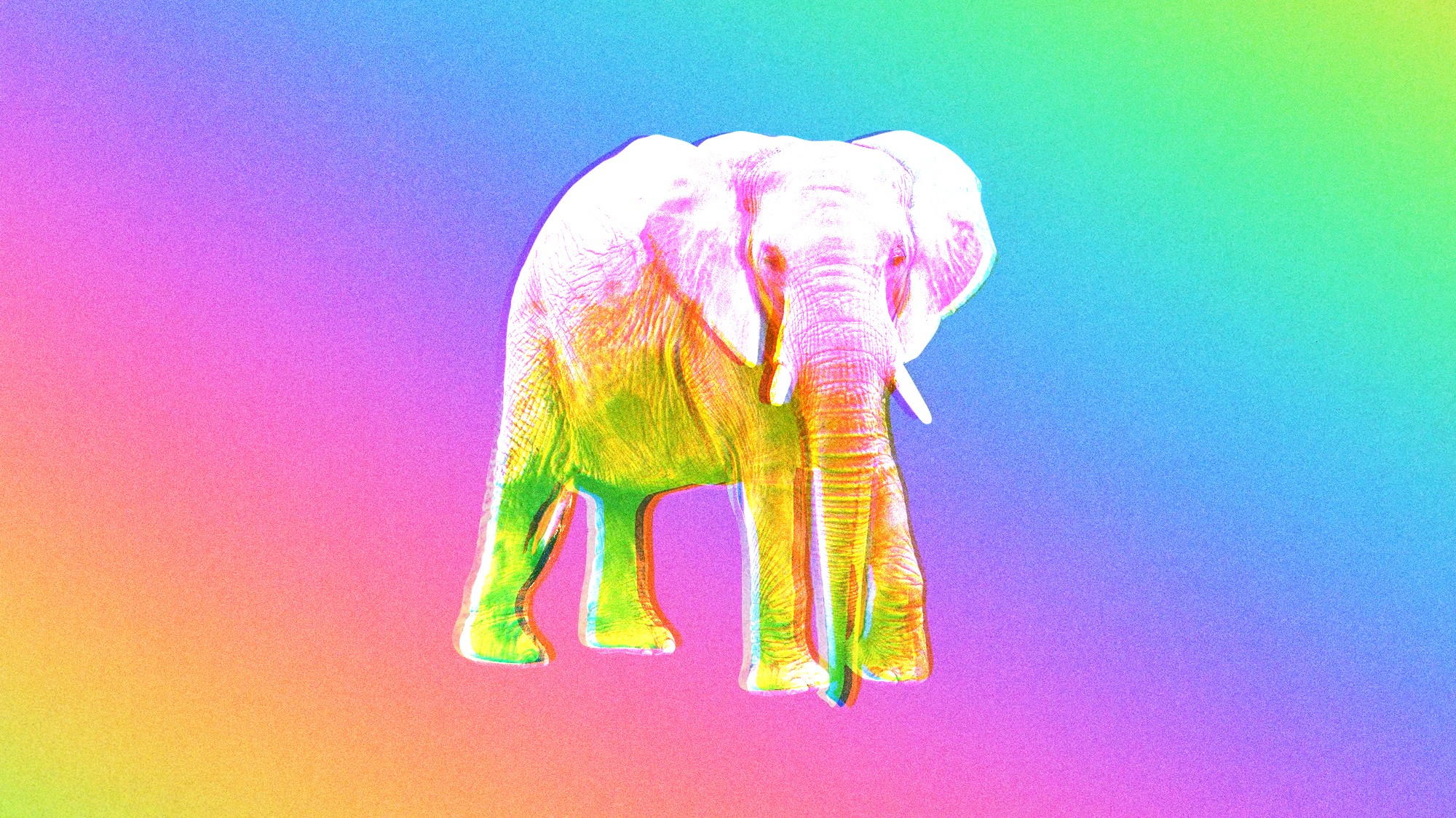 The Man Behind the Trump Administration’s Favorite Psychedelic